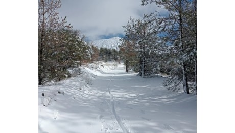 Cade la neve sull'Etna e sulle Madonie