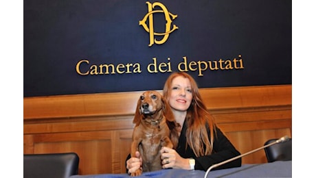 CAMERA APPROVA PENE PIÙ SEVERE PER REATI CONTRO GLI ANIMALI, ON. BRAMBILLA: “UNA RIVOLUZIONE”