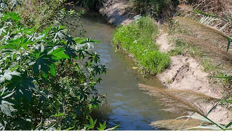 “Ma vatti a bere l’acqua del fiume Oreto”, quando una disgustosa imprecazione diventa la speranza contro la grande sete