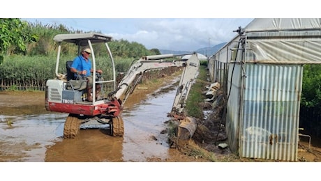 Cia Calabria, disagio e danni per le aziende agricole del territorio del lametino e dell’hinterland