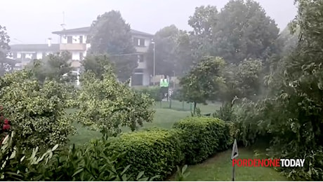 Maltempo in Friuli: pioggia, grandine e alberi caduti nel Pordenonese