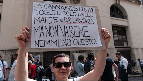 Cannabis light, dopo la sentenza del Tar il Governo eviti nuovi errori (di M. Anzaldi)