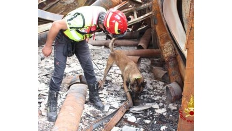 Tre morti in rogo dello showroom cinese, il cane pompiere ha fiutato sostanze acceleranti