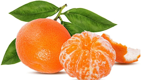 Scopri il segreto incredibile delle nonne: quante clementine ti faranno abbassare l’indice glicemico! Non crederai ai risultati!