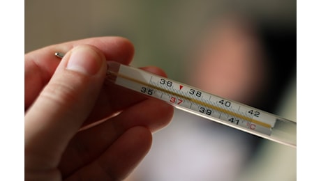 Influenza 2024: primi casi anche in Italia, ma il picco arriverà a fine mese; gli aggiornamenti