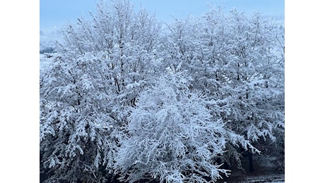 Temperature in calo, precipitazioni e la prima abbondante nevicata sulle Alpi Marittime