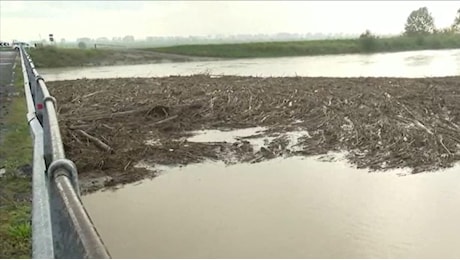 Maltempo in Emilia-Romagna, l'allerta rossa in diretta: scuole chiuse ed evacuazioni per il rischio allagamenti