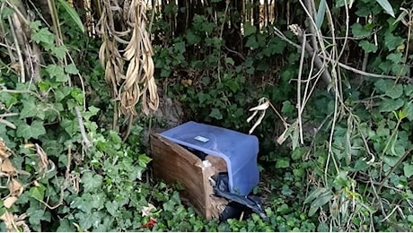 Peschiera Borromeo, abbandonano scatole con i resti di cinque cani: le piste del canile abusivo o dei combattimenti clandestini