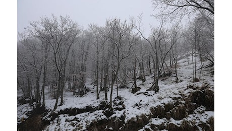 Meteo, freddo e neve sull'Italia dalla Svezia: ecco quando e dove