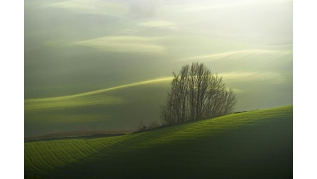 Sostenibilità e ambiente urbano, Reggio Emilia la città più green d'Italia