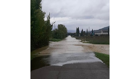 Maltempo Umbria, allagamenti nell’Orvietano: monitorati i fiumi Chiami e Paglia | FOTO