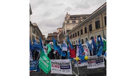 Medici, dirigenti sanitari, infermieri e professionisti sanitari confermano lo sciopero del 20 novembre