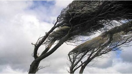 Forti raffiche di vento, il maltempo non si placa e dura fino a domani: scatta l’allerta meteo