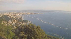 Tornano le mucillagini a Trieste: grande scia visibile nel Golfo