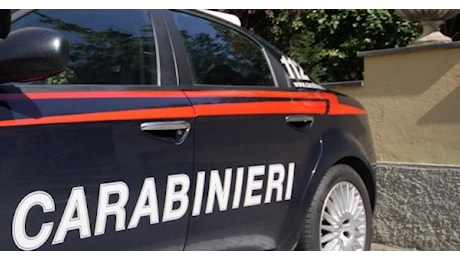 Torino – Ex Campionessa di sci spara con la pistola al vicino di casa: è grave