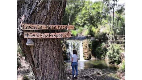 L’Amap prenderà l’acqua dal Torrente Sant’Elia per ridurre la crisi idrica di Palermo