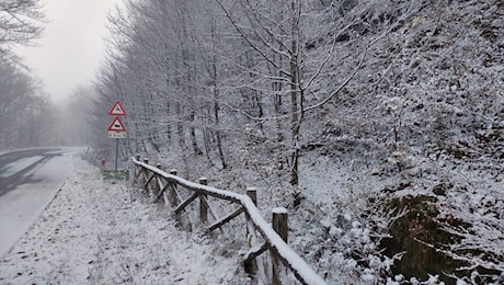 Prima neve sul Pratomagno: le montagne aretine si vestono di bianco | FOTO