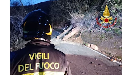 Maltempo, vento forte sul Varesotto: decine di interventi per i vigili del fuoco