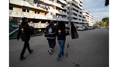 Vele di Scampia: prosegue il monitoraggio per portare in salvo i gatti