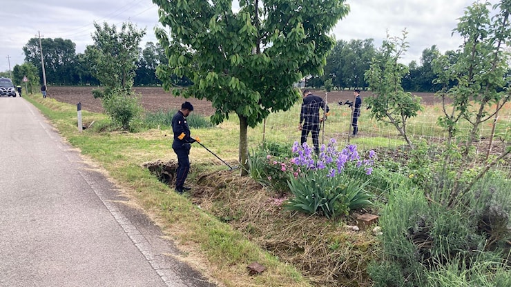 Castelfranco Veneto. Omicidio di Lorenzo, si aggrava la posizione del secondo arrestato. Coltello sospetto inviato al Ris - Qdpnews Castelfranco Veneto. Omicidio di Lorenzo, si aggrava la posizione del secondo arrestato. Coltello sospetto inviato al Ris - Qdpnews