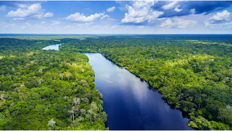 Riduzione storica della deforestazione nell’Amazzonia colombiana