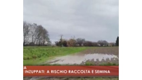 Veneto, SOS agricoltura: a rischio raccolta e semina