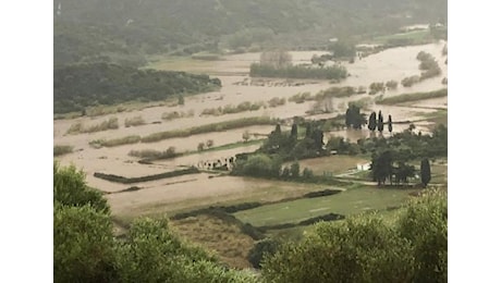 PARLAMENTO EUROPEO * DISASTRI NATURALI: «FONDO SOLIDARIETÀ, UN MILIARDO PER ITALIA - SLOVENIA - AUSTRIA - GRECIA - FRANCIA