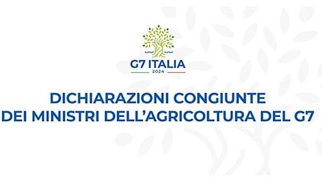 G7 Agricoltura, Lollobrigida: Priorità alla pesca. Segui la diretta della giornata di chiusura