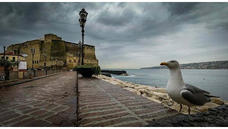 Scuole chiuse a Napoli domani: ecco la mappa dei comuni, Manfredi le lascia aperte