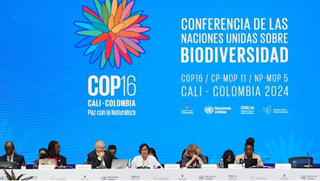 COP16: Il Global Biodiversity Framework alla prova dei fatti