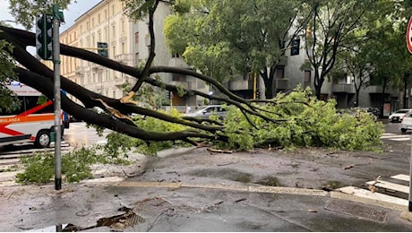 Allerta meteo arancione a Milano per forti raffiche di vento: chiusi i parchi cittadini