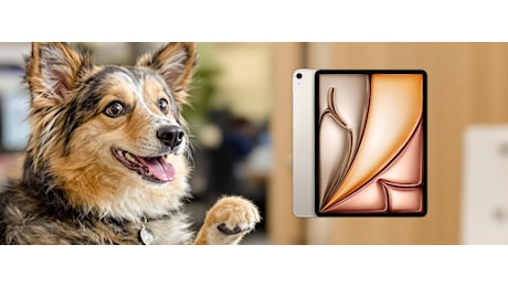Risparmia più di 100€ sull'Apple iPad Air con chip M3: occasione unica su Amazon