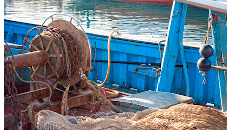 Pesca. Ddl bilancio, poche mosse per alleviare emergenza settore