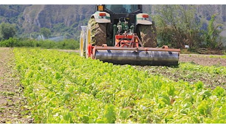 Zes agricola, si parte: da domani 20 novembre le domande per le agevolazioni