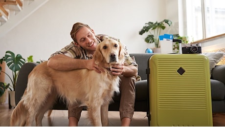 Grosse novità per chi viaggia in aereo con cani e gatti. Cambiano le regole a bordo