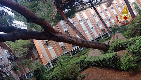 Maltempo Sicilia: danni per il vento e voragini in strada