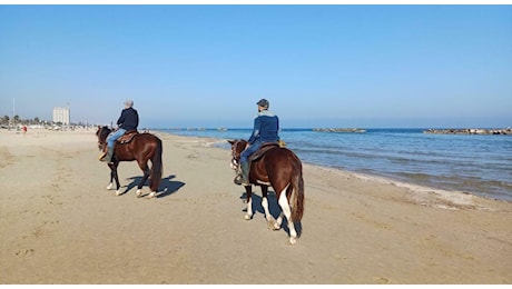 Ponte con il sole, pienone sulla costa: passeggiate (o a cavallo) in spiaggia