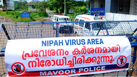 Il virus Nipah ha fatto la seconda vittima in India e sono scattate le misure di contenimento