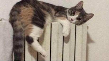 Calano le temperature, a Brescia riscaldamento prorogato fino al 28 aprile