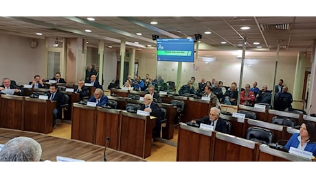 Situazione Stellantis, ampia discussione in Aula