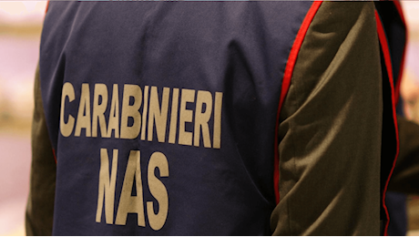 Controlli dei Carabinieri sui B&B, il Nas di Treviso scopre tre irregolarità: sanzioni per 2mila euro