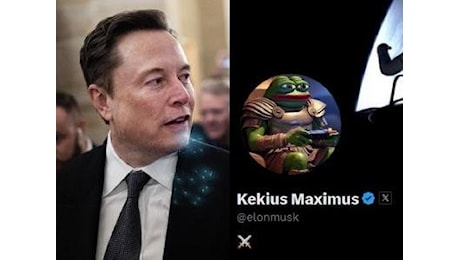 Elon Musk diventa un nome noto su X: da meme a immagine profilo