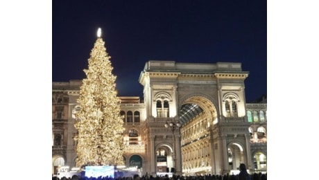 Dai 27 alberi ai mercatini e alle mostre: ecco le iniziative per il Natale di Milano