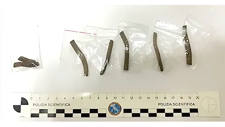 Sora. Operazione ad “Alto Impatto” della Polizia di Stato. Il fiuto di Isco scopre hashish già pronto per lo spaccio