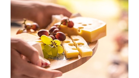 Scopri i Formaggi Ideali per Abbattere il Colesterolo e Stupisci il Tuo Palato!