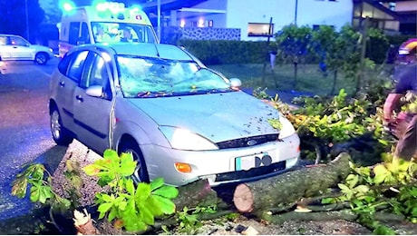 Maltempo, un albero si spezza e cade su un’auto in transito a Premariacco