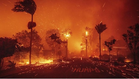 Il fuoco spaventa, fuga da Los Angeles