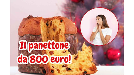 Ma siamo pazzi? Questo panettone costa quasi 800 euro e lo stanno già comprando perché lo vogliono tutti