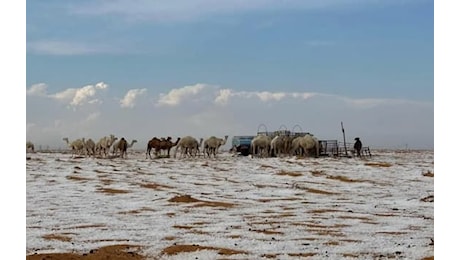 Nevicata storica in Arabia Saudita, le dune del deserto coperte di bianco: il video