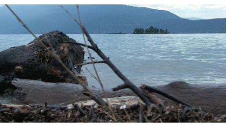 Il Lago di Garda è a rischio esondazione. Mai così alto dal 1977